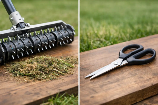 Roller Rake Versus Household Scissors: Which Wins?